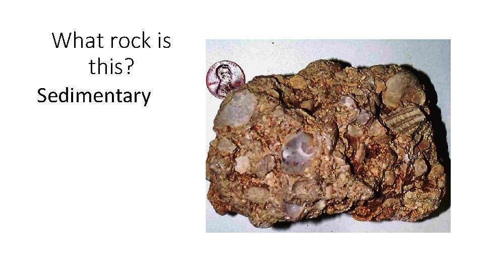 What rock is this? Sedimentary 