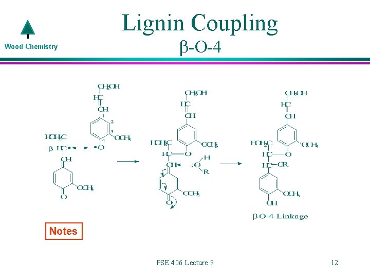 Lignin Coupling Wood Chemistry -O-4 Notes PSE 406 Lecture 9 12 