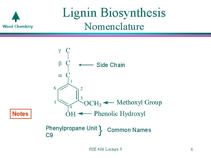 Lignin Biosynthesis Wood Chemistry Nomenclature Side Chain Notes Phenylpropane Unit C 9 } Common