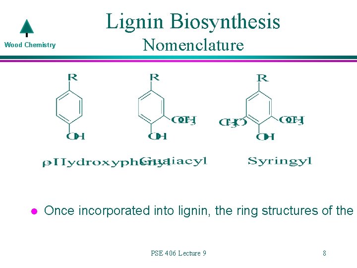 Lignin Biosynthesis Wood Chemistry l Nomenclature Once incorporated into lignin, the ring structures of