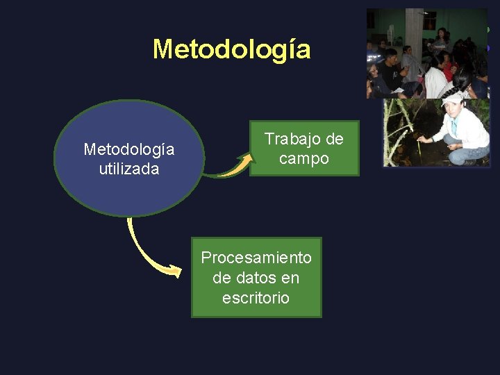 Metodología utilizada Trabajo de campo Procesamiento de datos en escritorio 