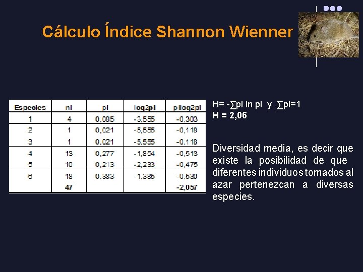 Cálculo Índice Shannon Wienner H= -∑pi ln pi y ∑pi=1 H = 2, 06