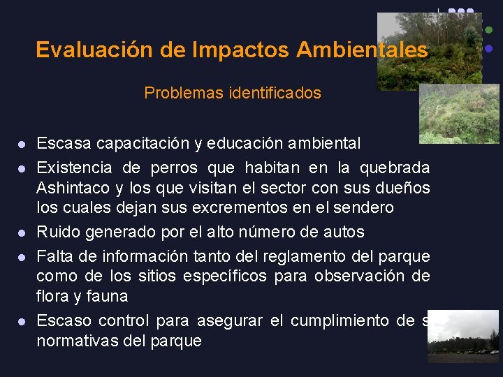 Evaluación de Impactos Ambientales Problemas identificados l l l Escasa capacitación y educación ambiental