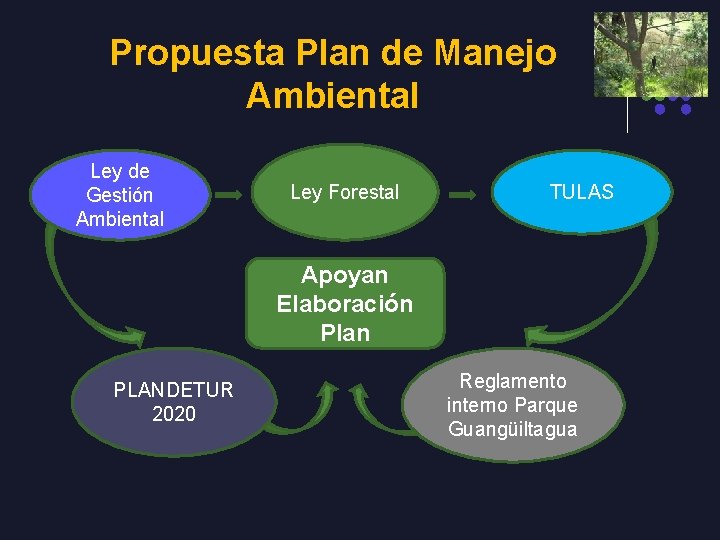 Propuesta Plan de Manejo Ambiental Ley de Gestión Ambiental Ley Forestal TULAS Apoyan Elaboración