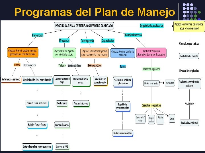 Programas del Plan de Manejo 