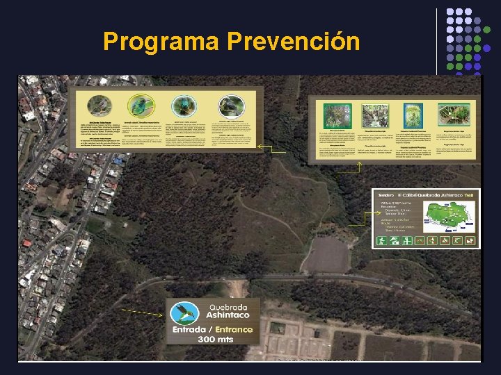 Programa Prevención 