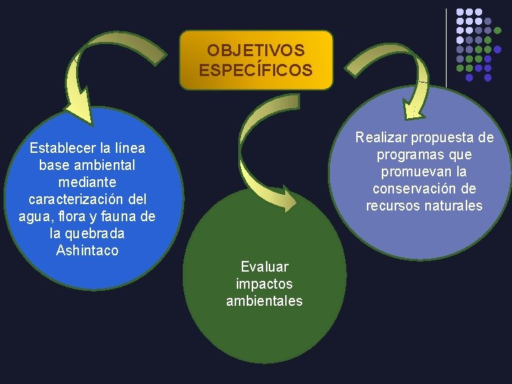 OBJETIVOS ESPECÍFICOS Realizar propuesta de programas que promuevan la conservación de recursos naturales Establecer