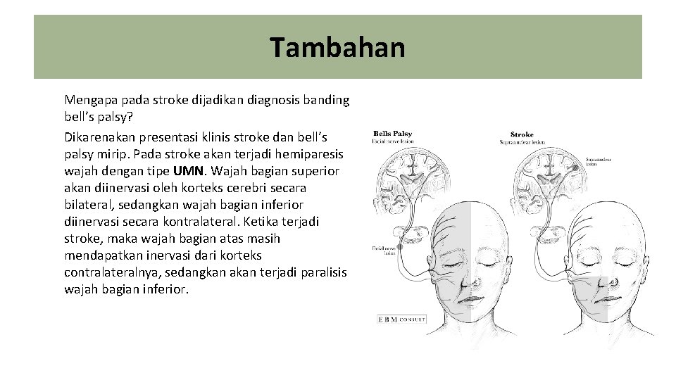 Tambahan Mengapa pada stroke dijadikan diagnosis banding bell’s palsy? Dikarenakan presentasi klinis stroke dan