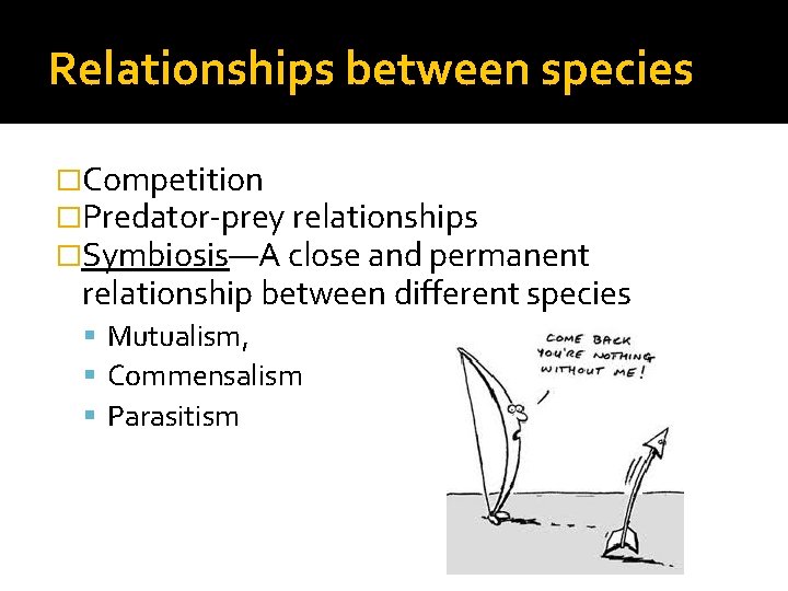 Relationships between species �Competition �Predator-prey relationships �Symbiosis—A close and permanent relationship between different species