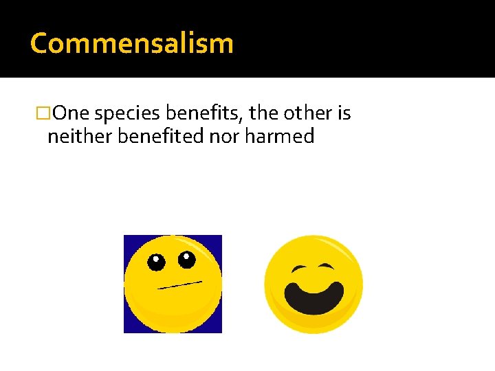 Commensalism �One species benefits, the other is neither benefited nor harmed 