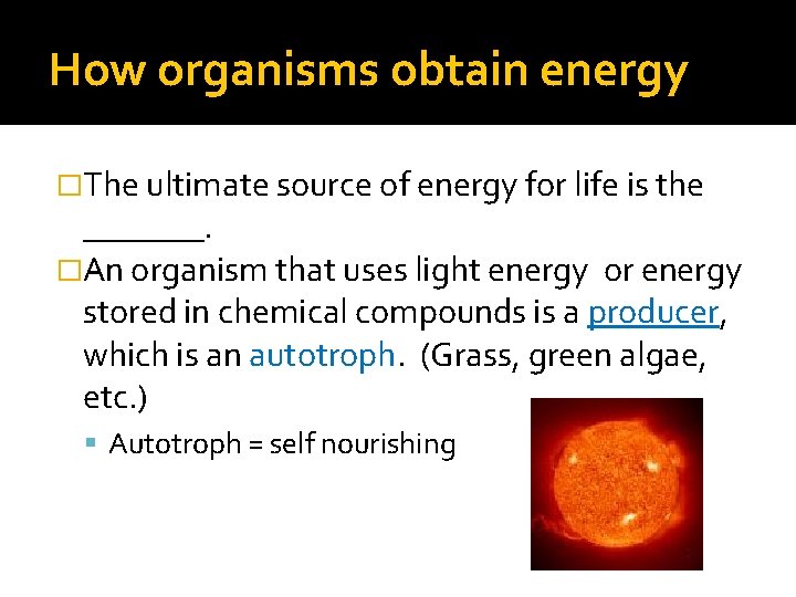 How organisms obtain energy �The ultimate source of energy for life is the _______.