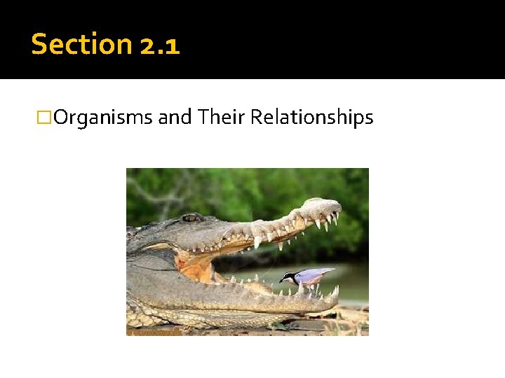 Section 2. 1 �Organisms and Their Relationships 