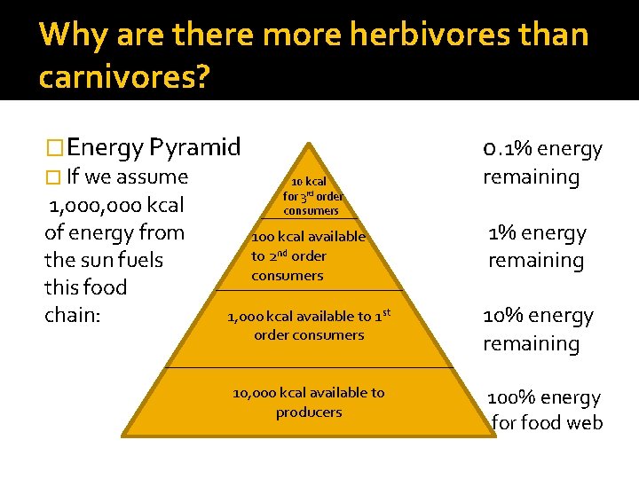 Why are there more herbivores than carnivores? �Energy Pyramid � If we assume 1,