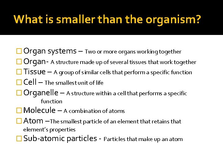 What is smaller than the organism? � Organ systems – Two or more organs