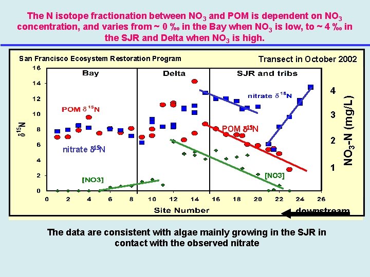 The N isotope fractionation between NO 3 and POM is dependent on NO 3