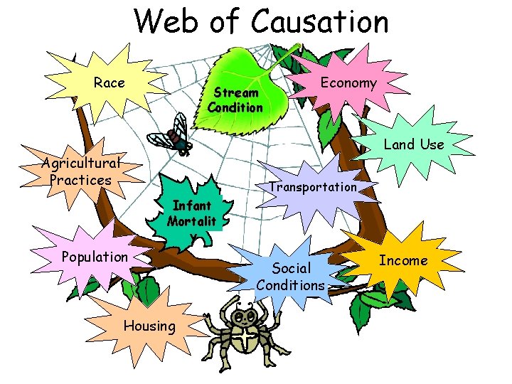 Web of Causation Race Stream Condition Economy Land Use Agricultural Practices Transportation Infant Mortalit