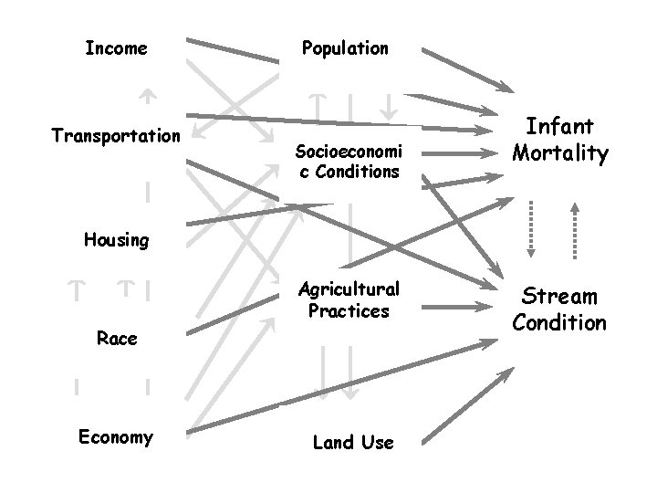 Income Transportation Population Socioeconomi c Conditions Infant Mortality Housing Agricultural Practices Race Economy Land
