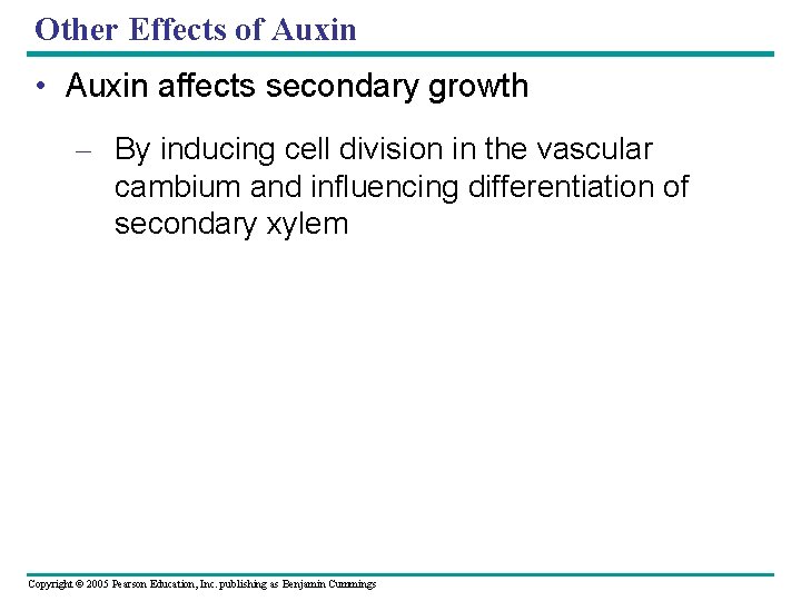 Other Effects of Auxin • Auxin affects secondary growth – By inducing cell division