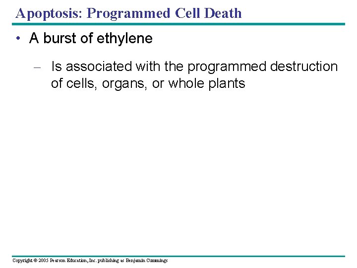 Apoptosis: Programmed Cell Death • A burst of ethylene – Is associated with the