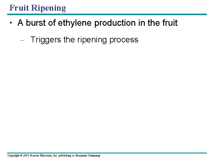 Fruit Ripening • A burst of ethylene production in the fruit – Triggers the