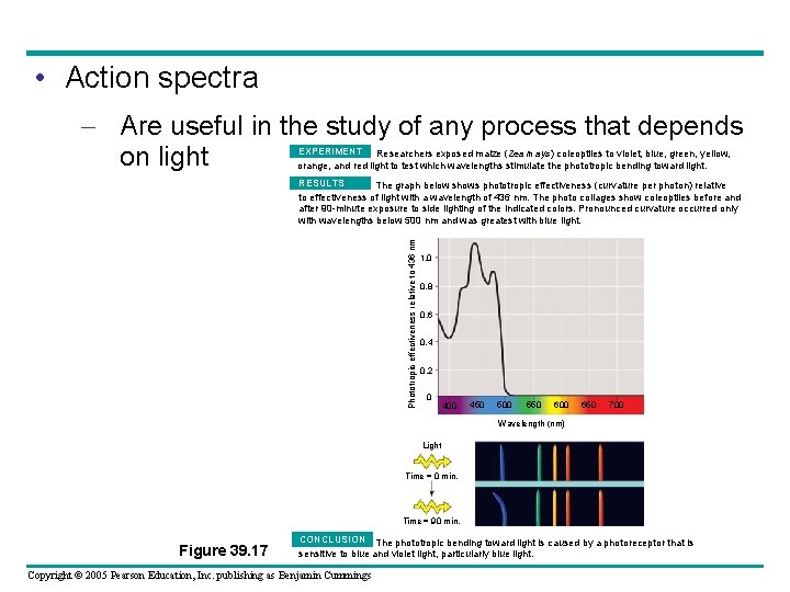  • Action spectra – Are useful in the study of any process that