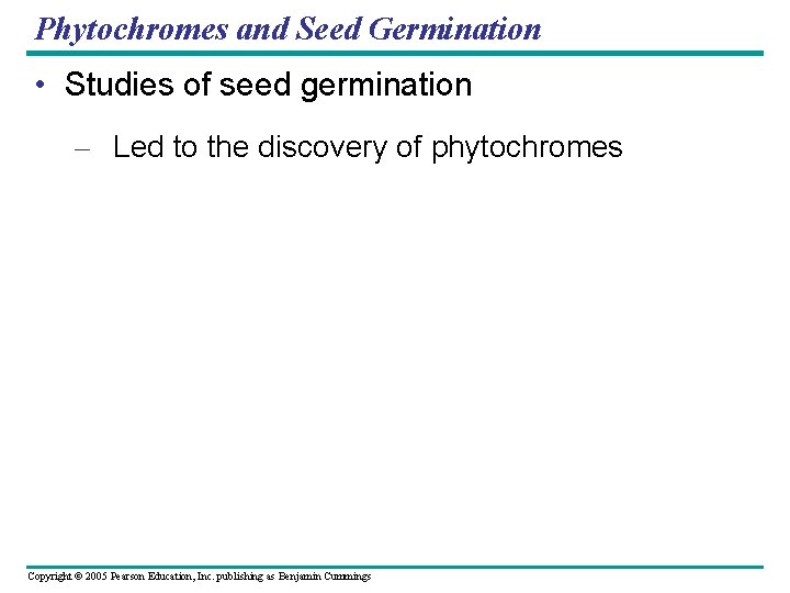 Phytochromes and Seed Germination • Studies of seed germination – Led to the discovery