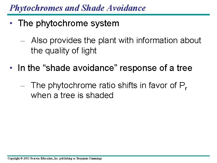 Phytochromes and Shade Avoidance • The phytochrome system – Also provides the plant with