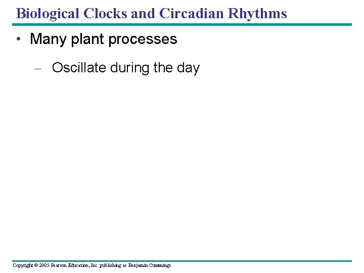 Biological Clocks and Circadian Rhythms • Many plant processes – Oscillate during the day