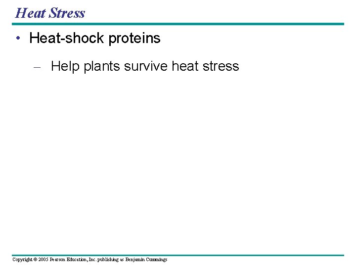 Heat Stress • Heat-shock proteins – Help plants survive heat stress Copyright © 2005