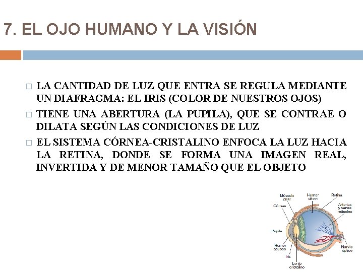 7. EL OJO HUMANO Y LA VISIÓN � � � LA CANTIDAD DE LUZ 7. EL OJO HUMANO Y LA VISIÓN � � � LA CANTIDAD DE LUZ