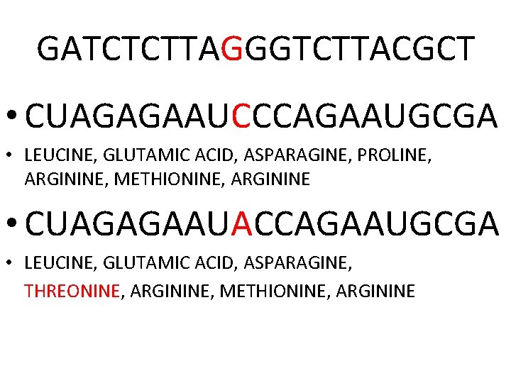 GATCTCTTAGGGTCTTACGCT • CUAGAGAAUCCCAGAAUGCGA • LEUCINE, GLUTAMIC ACID, ASPARAGINE, PROLINE, ARGININE, METHIONINE, ARGININE • CUAGAGAAUACCAGAAUGCGA