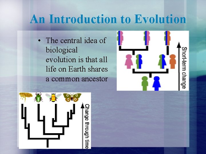 An Introduction to Evolution • The central idea of biological evolution is that all
