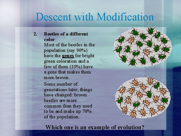 Descent with Modification 2. Beetles of a different color Most of the beetles in