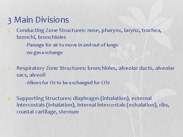 3 Main Divisions 1. Conducting Zone Structures: nose, pharynx, larynx, trachea, bronchioles -Passage for