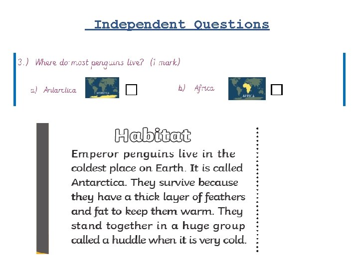 Independent Questions 