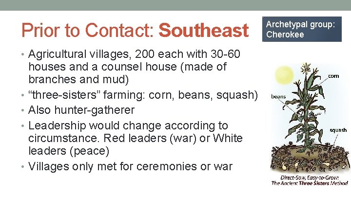 Prior to Contact: Southeast • Agricultural villages, 200 each with 30 -60 houses and