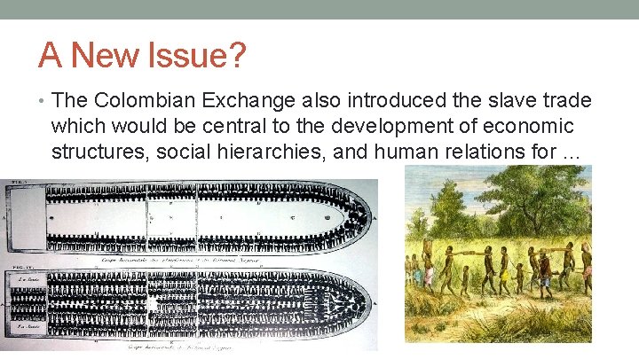 A New Issue? • The Colombian Exchange also introduced the slave trade which would