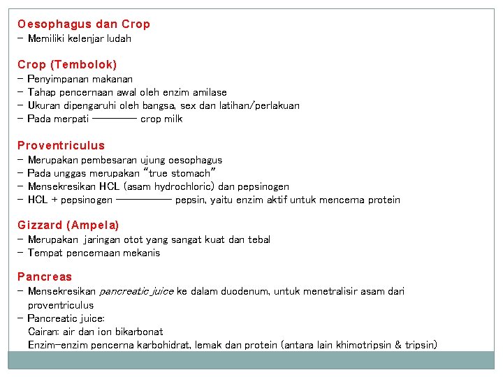 Oesophagus dan Crop - Memiliki kelenjar ludah Crop (Tembolok) - Penyimpanan makanan - Tahap