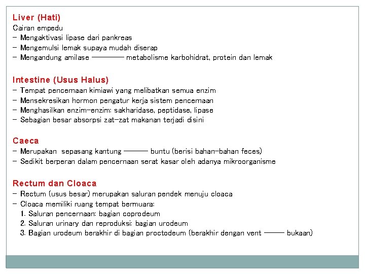 Liver (Hati) Cairan empedu - Mengaktivasi lipase dari pankreas - Mengemulsi lemak supaya mudah