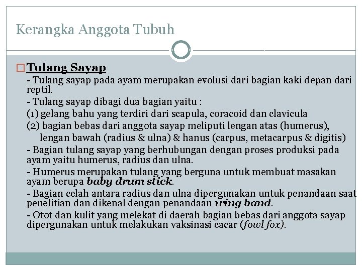 Kerangka Anggota Tubuh � Tulang Sayap - Tulang sayap pada ayam merupakan evolusi dari