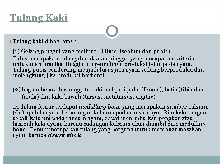 Tulang Kaki � Tulang kaki dibagi atas : (1) Gelang pinggul yang meliputi (illium,