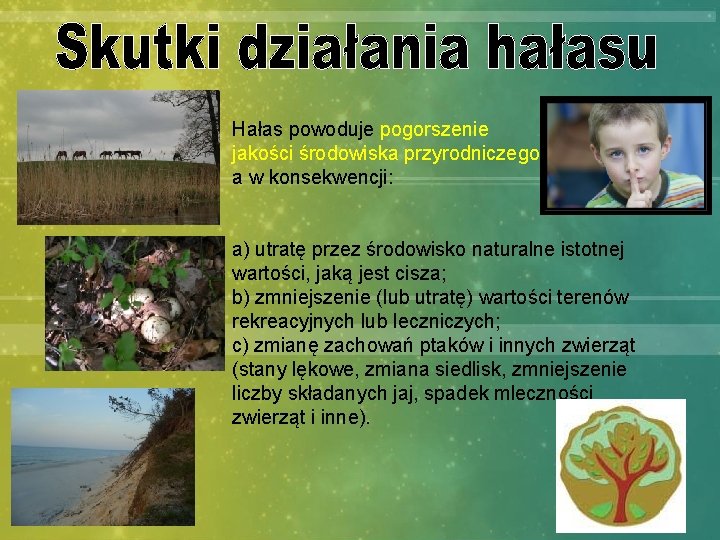 Hałas powoduje pogorszenie jakości środowiska przyrodniczego, a w konsekwencji: a) utratę przez środowisko naturalne