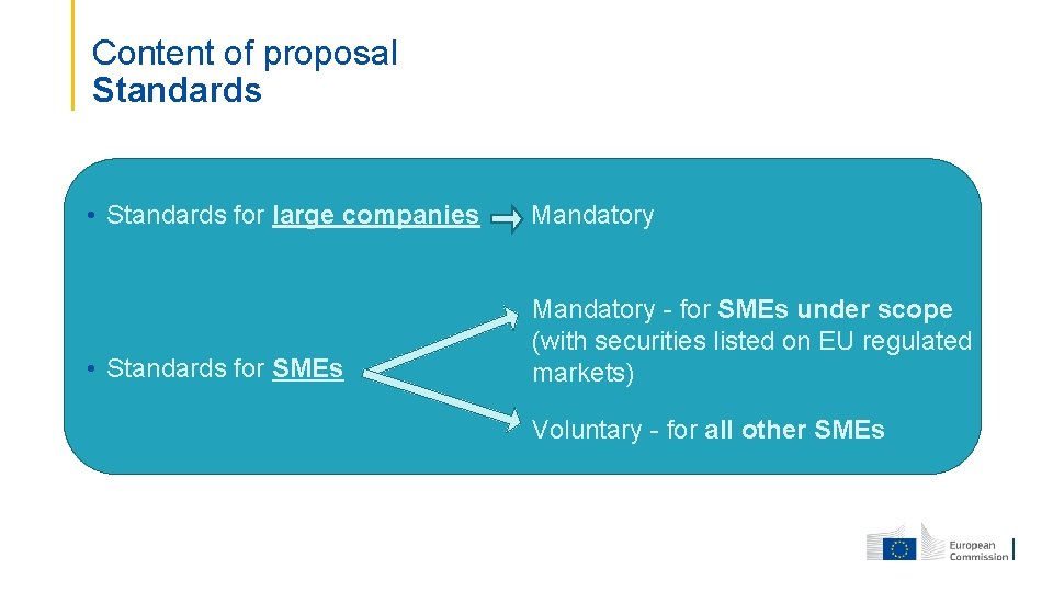 Content of proposal Standards • Standards for large companies Mandatory • Standards for SMEs