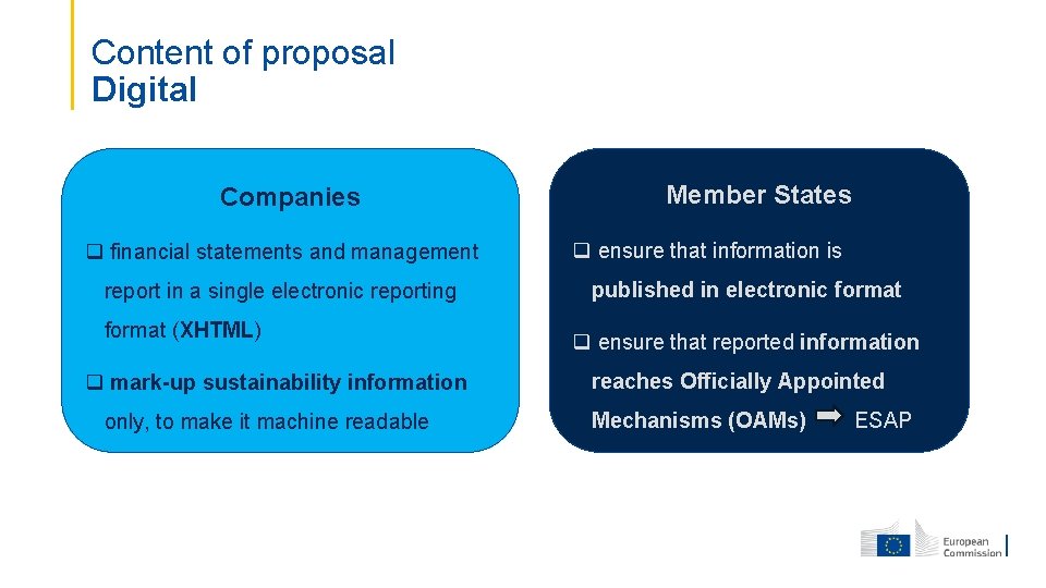 Content of proposal Digital Companies q financial statements and management report in a single