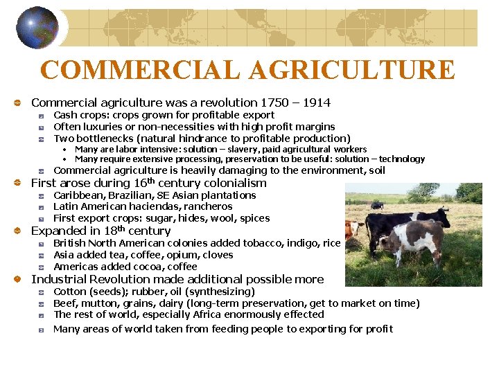 COMMERCIAL AGRICULTURE Commercial agriculture was a revolution 1750 – 1914 Cash crops: crops grown