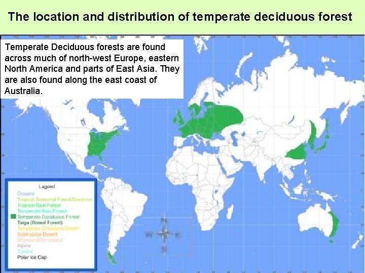 The location and distribution of temperate deciduous forest Temperate Deciduous forests are found across