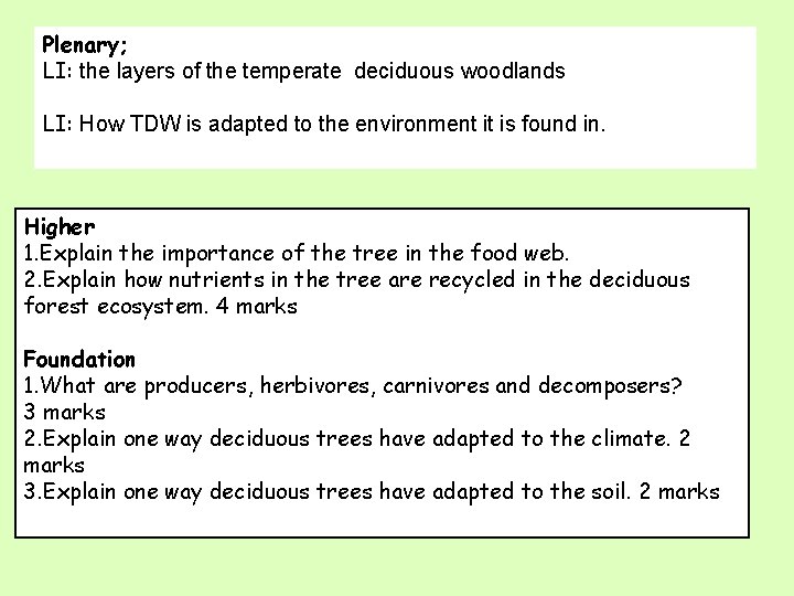 Plenary; LI: the layers of the temperate deciduous woodlands LI: How TDW is adapted