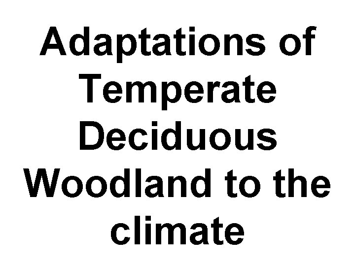 Adaptations of Temperate Deciduous Woodland to the climate 