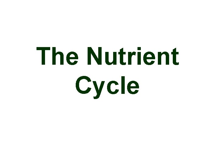 The Nutrient Cycle 