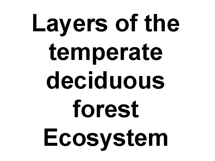 Layers of the temperate deciduous forest Ecosystem 